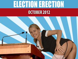 Election Erection
